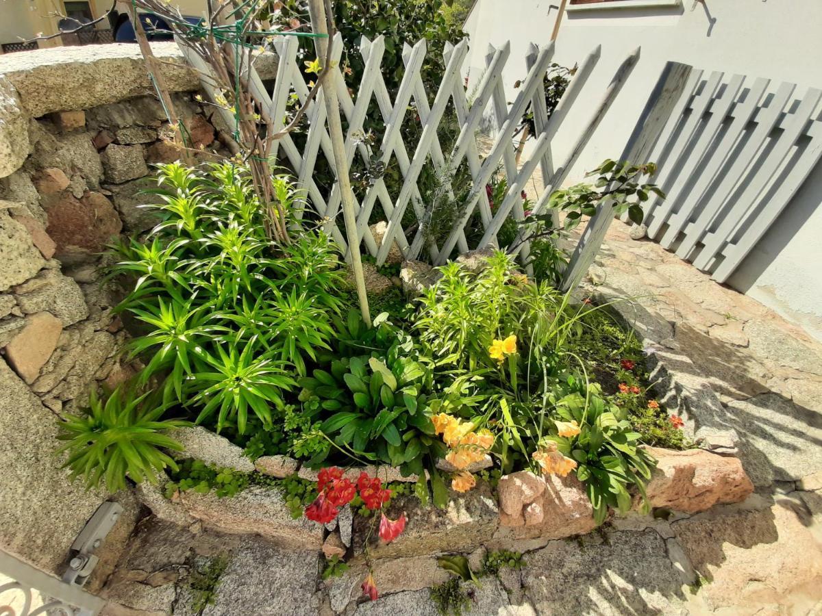 Apartament I Giardini Di Carmen La Maddalena  Zewnętrze zdjęcie
